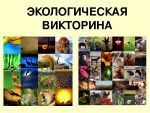 Экологическая игра-викторина 