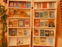 Книги в дар Песоченской библиотеке