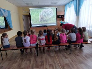 Сказки Пришвина