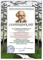 Сертификат старшей группы