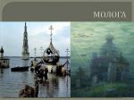 Молога